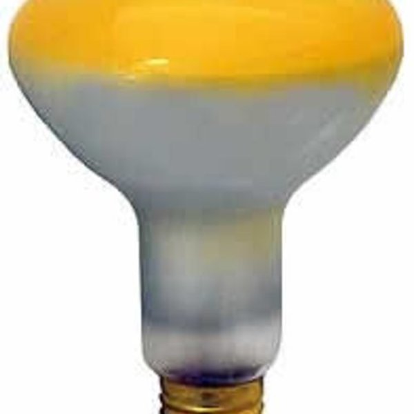 Ilc Replacement for Lumapro 4pl13 replacement light bulb lamp 4PL13 LUMAPRO